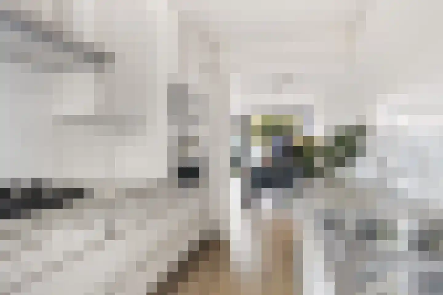 Grootzeil 17 Krimpen aan den IJssel thumbnail 6