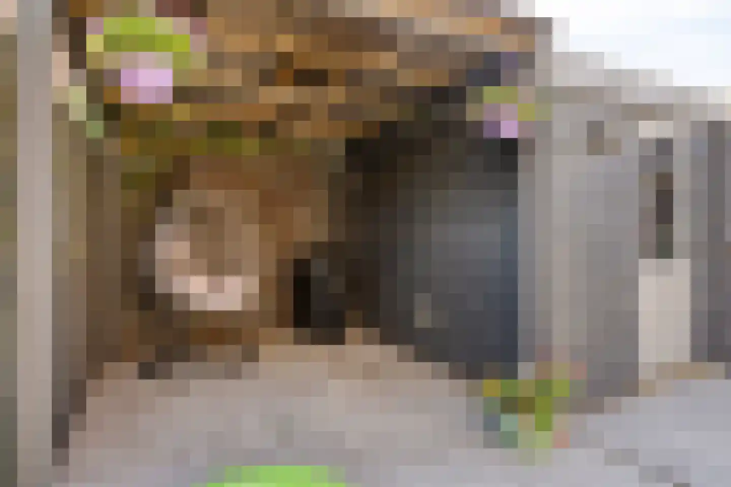 Grootzeil 18 Krimpen aan den IJssel thumbnail 26