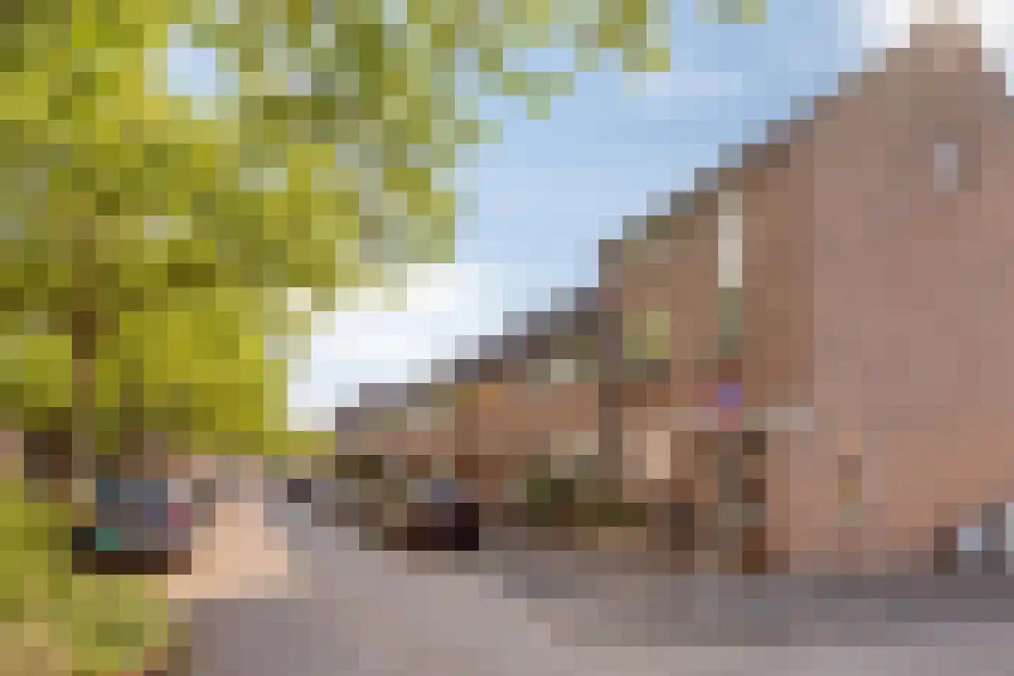 Grootzeil 18 Krimpen aan den IJssel thumbnail 29