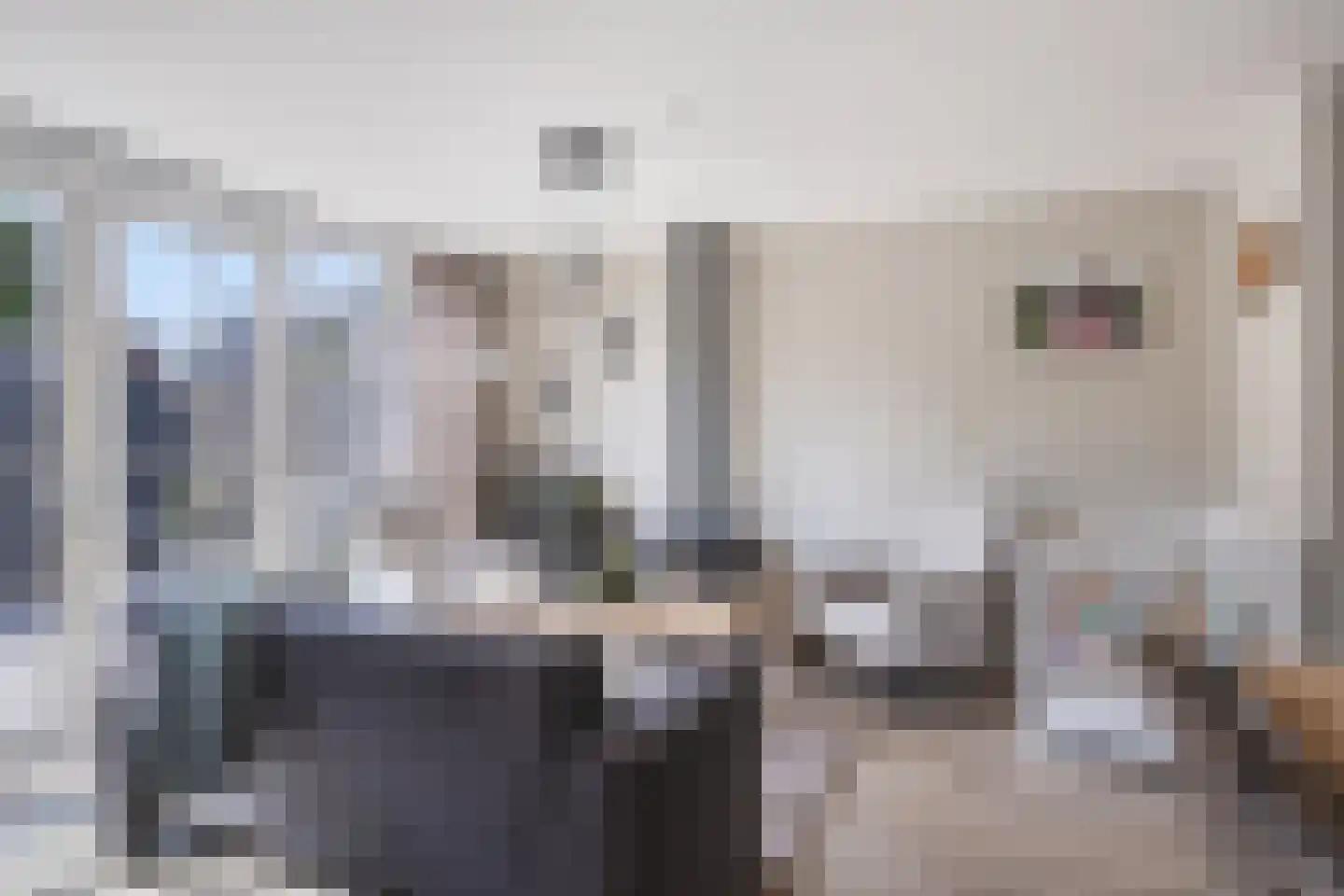Grootzeil 18 Krimpen aan den IJssel thumbnail 4