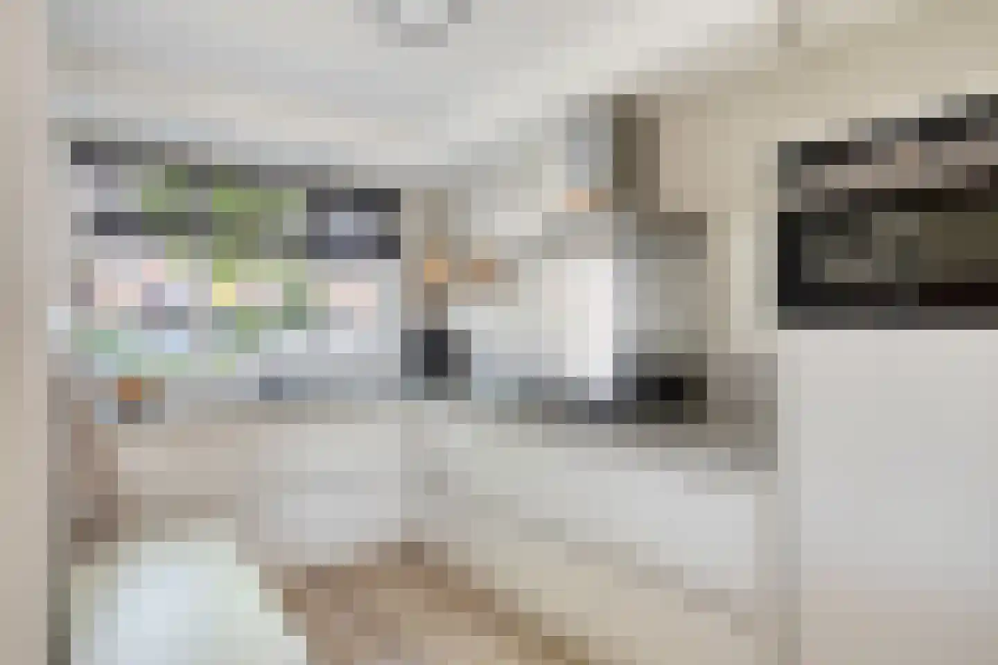 Grootzeil 18 Krimpen aan den IJssel thumbnail 9