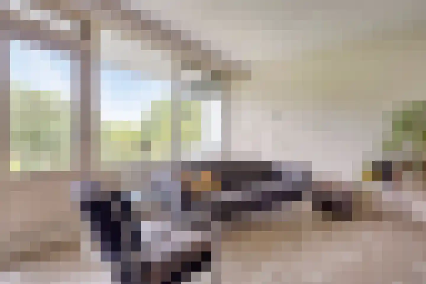 Grootzeil 203 Amsterdam thumbnail 11