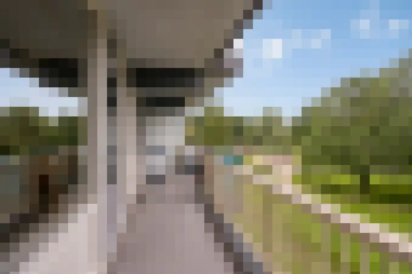 Grootzeil 203 Amsterdam thumbnail 4