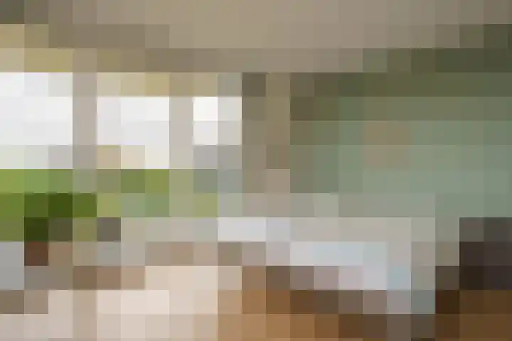 Grootzeil 208 Almere thumbnail 23
