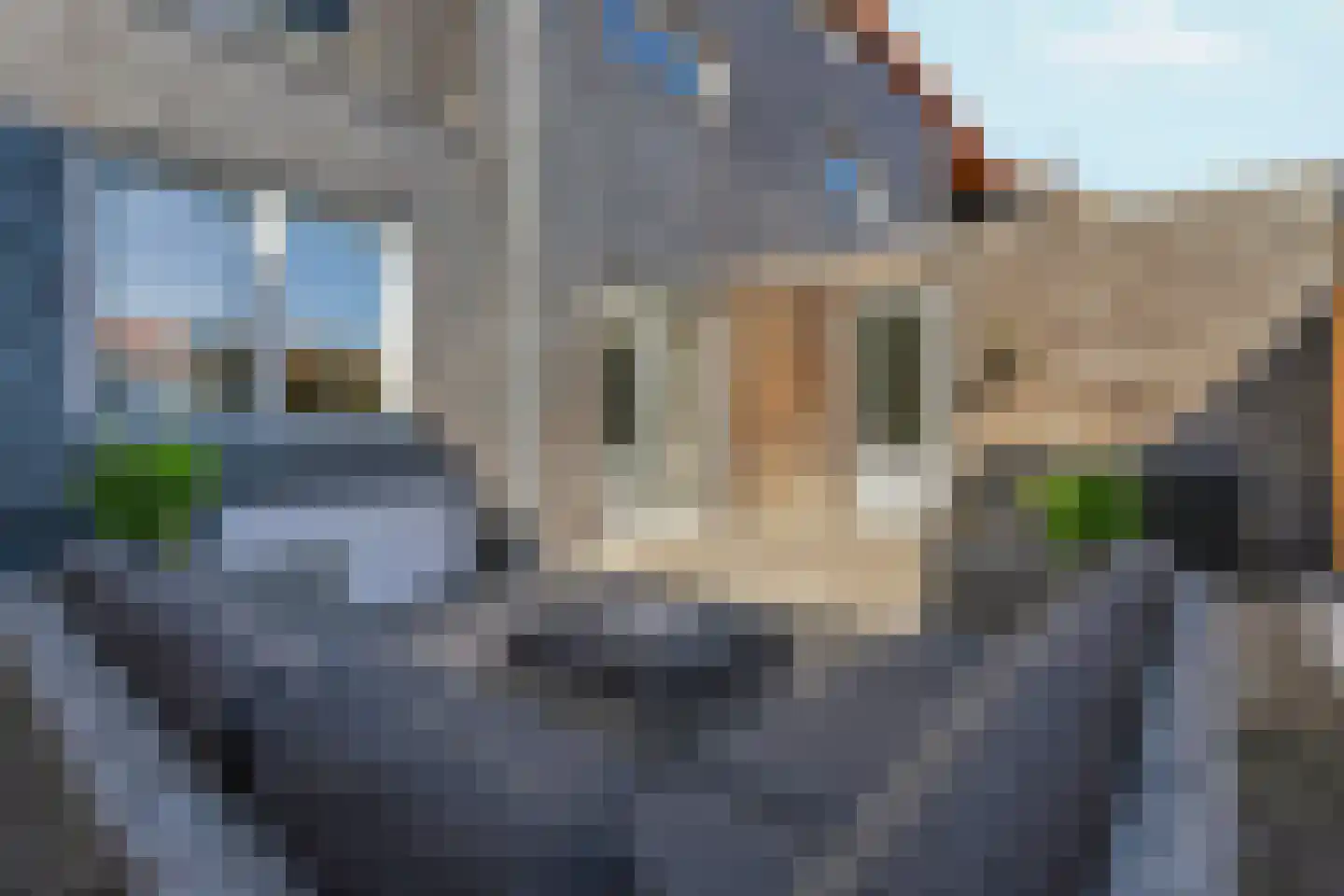 Grootzeil 24 Almere thumbnail 4