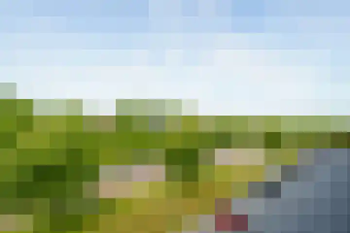 Grootzeil 282 Almere thumbnail 4