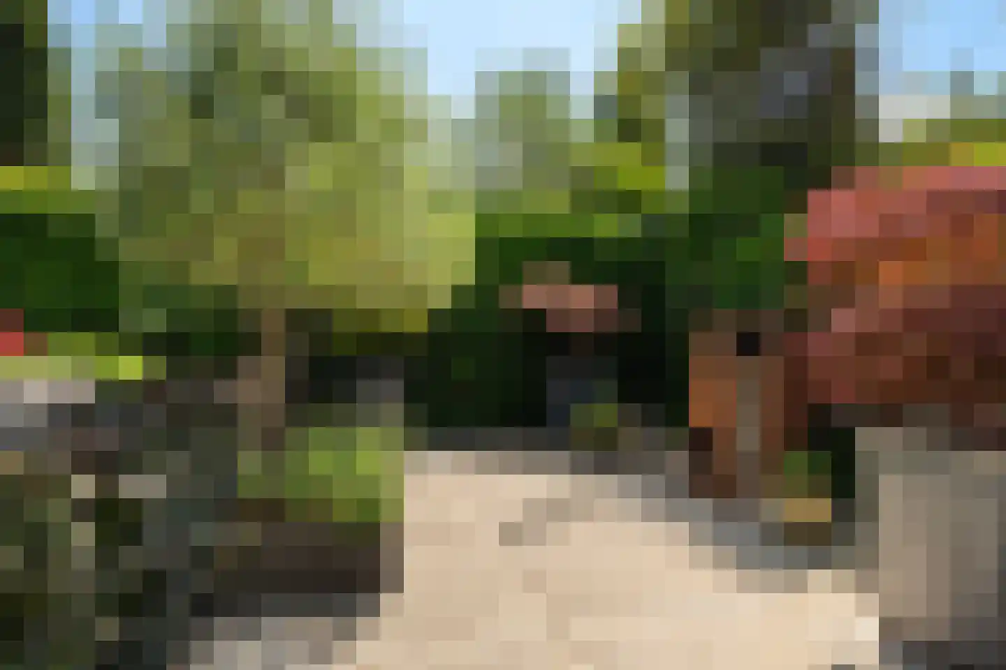 Grootzeil 3 Capelle aan den IJssel thumbnail 18