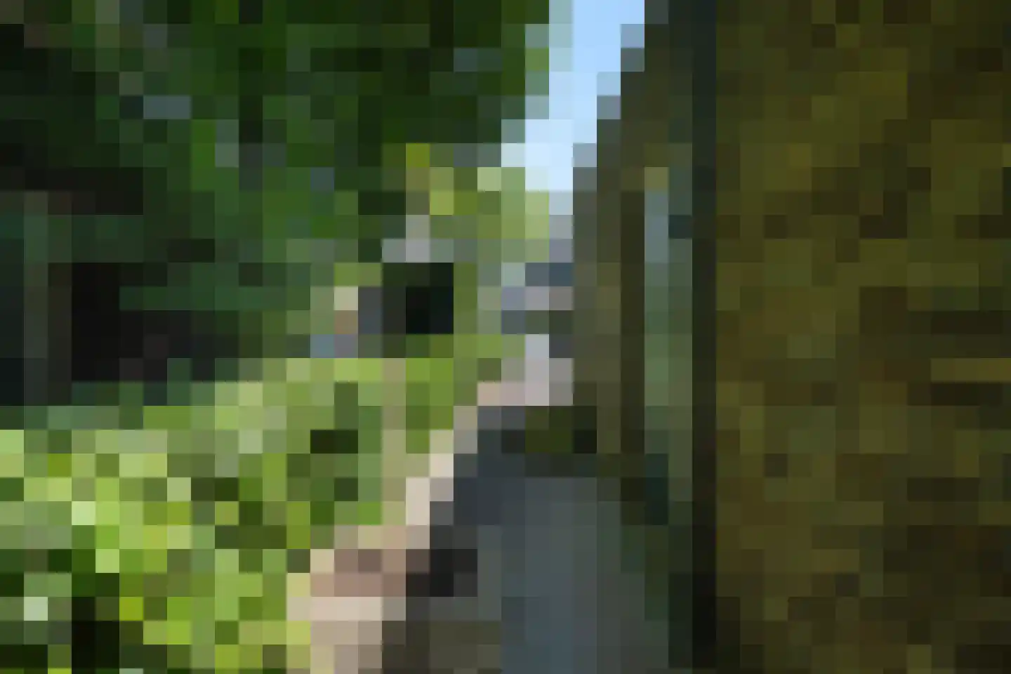 Grootzeil 3 Capelle aan den IJssel thumbnail 19
