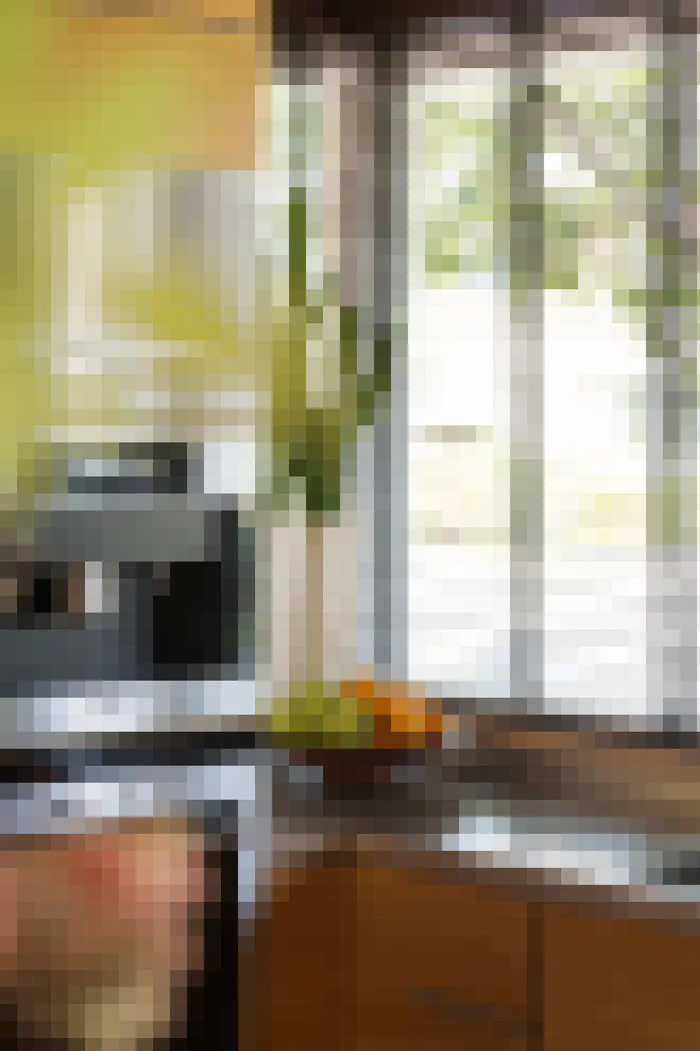 Grootzeil 3 Capelle aan den IJssel thumbnail 30