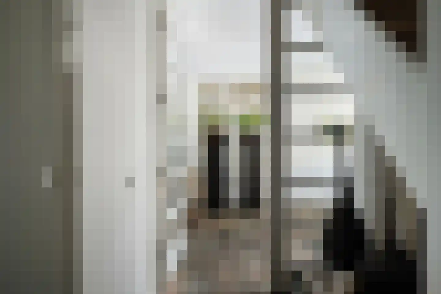 Grootzeil 3 Capelle aan den IJssel thumbnail 34
