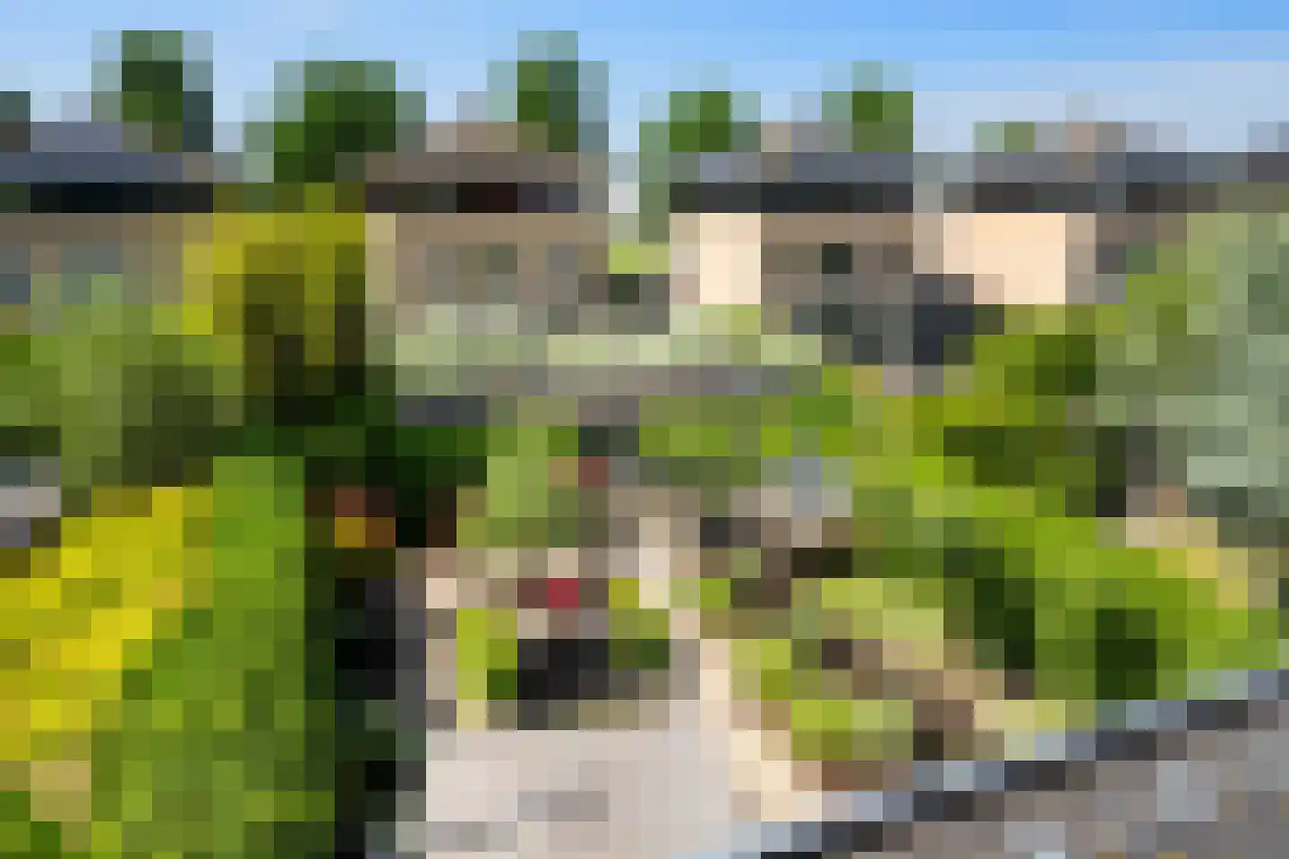 Grootzeil 3 Capelle aan den IJssel thumbnail 37