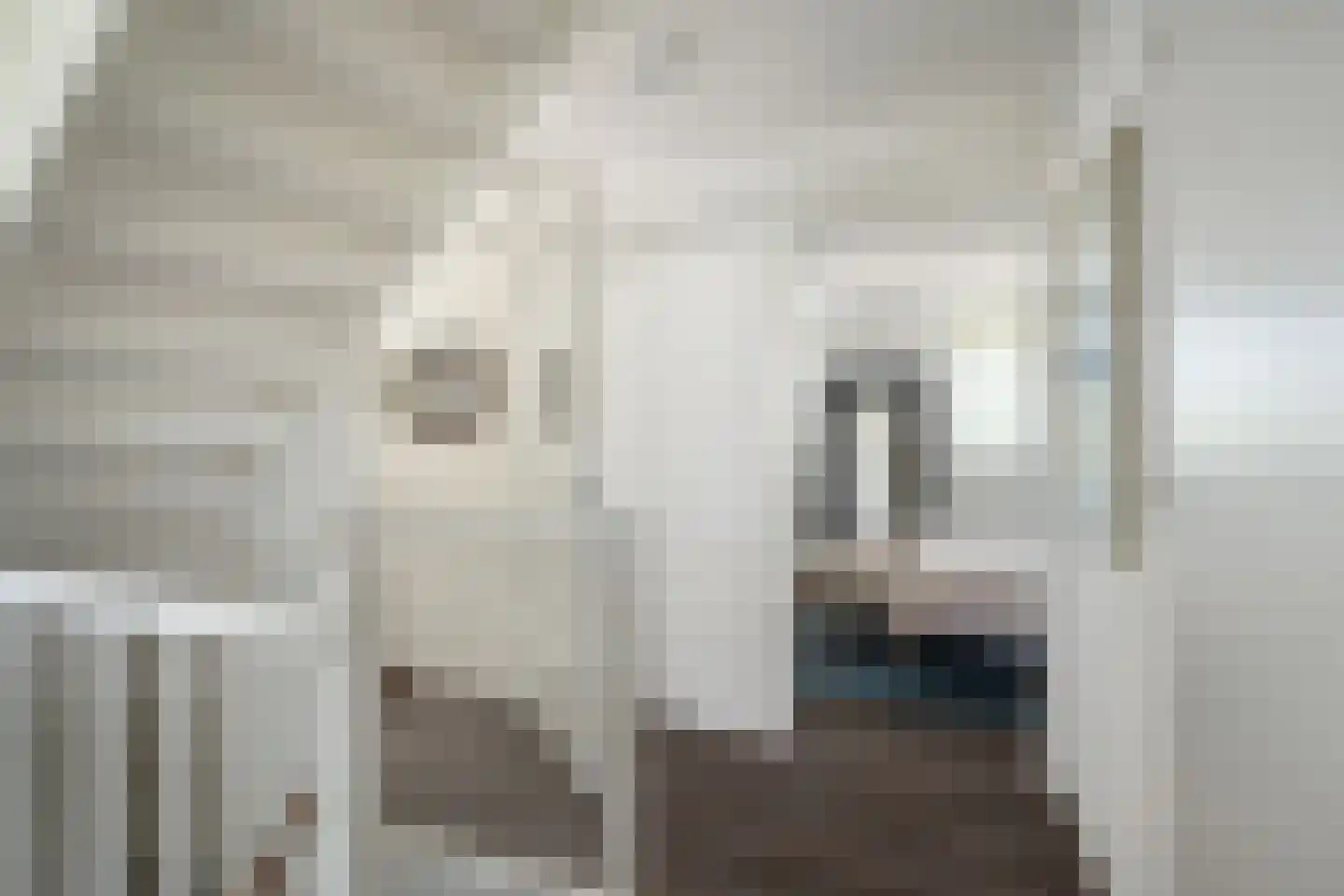 Grootzeil 3 Capelle aan den IJssel thumbnail 43