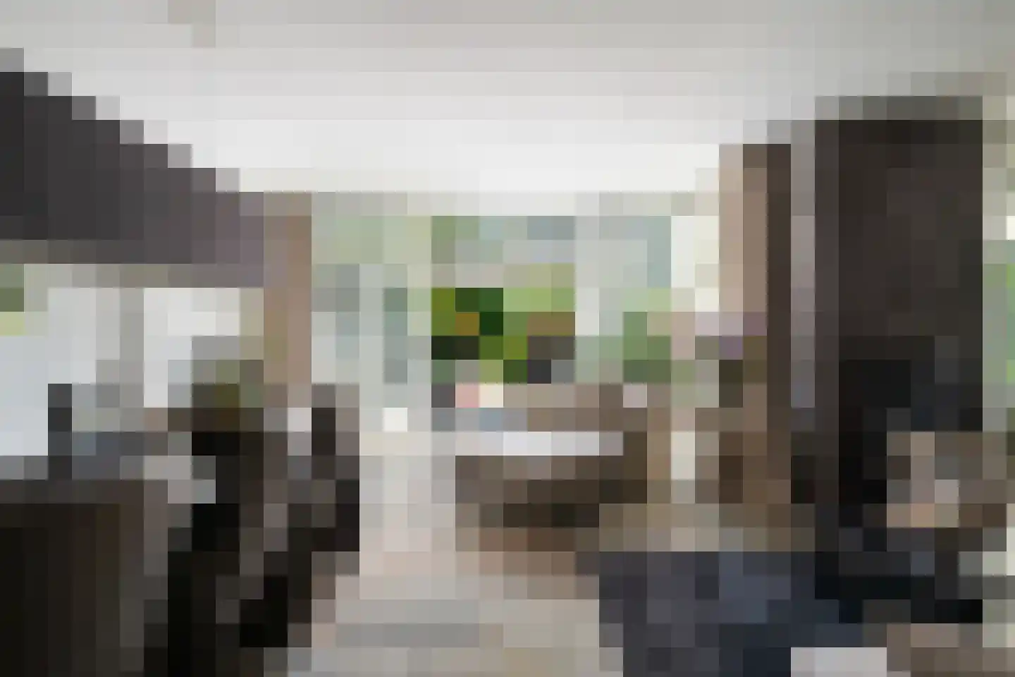 Grootzeil 3 Capelle aan den IJssel thumbnail 7