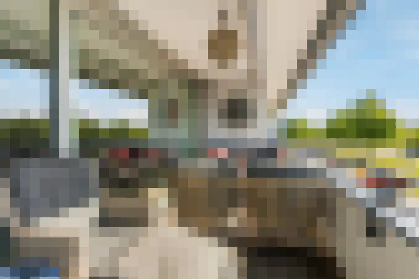 Grootzeil 302 Almere thumbnail 21