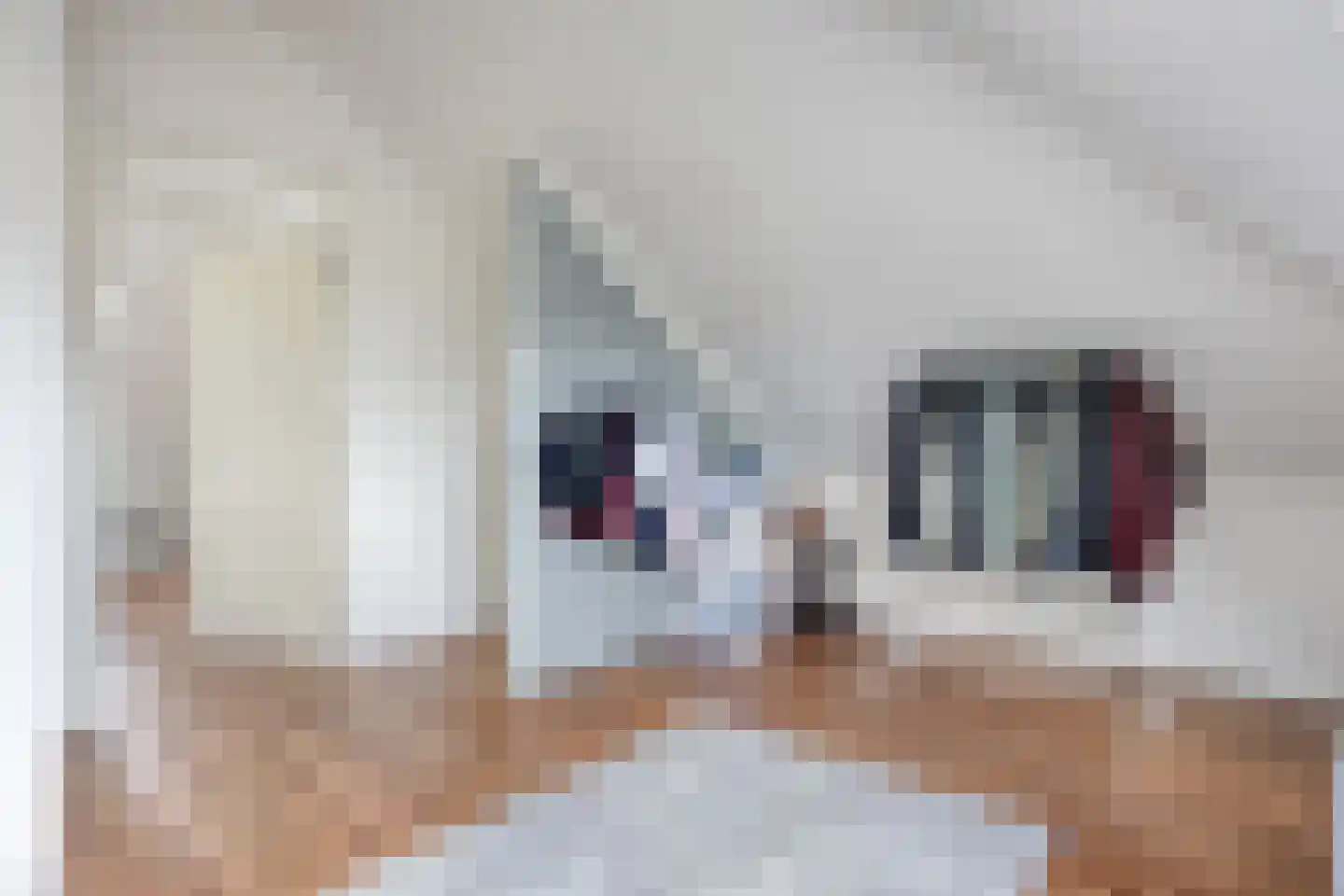 Grootzeil 5 Capelle aan den IJssel thumbnail 22