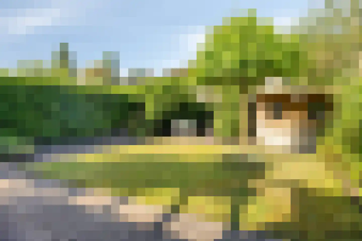 Grootzeil 5 Capelle aan den IJssel thumbnail 25