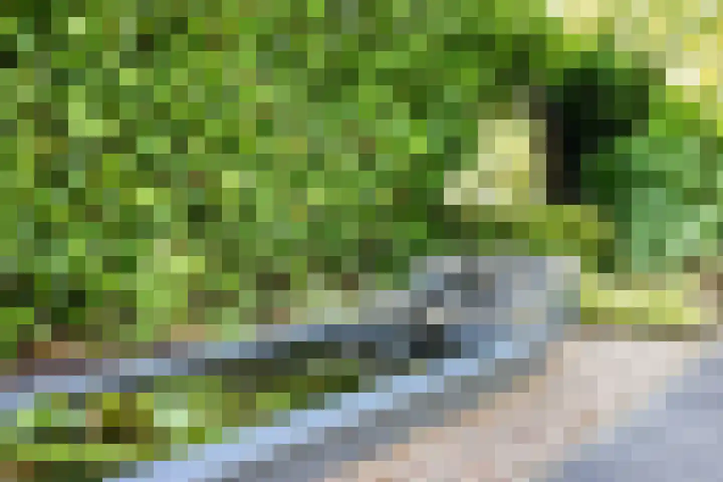 Grootzeil 5 Capelle aan den IJssel thumbnail 29