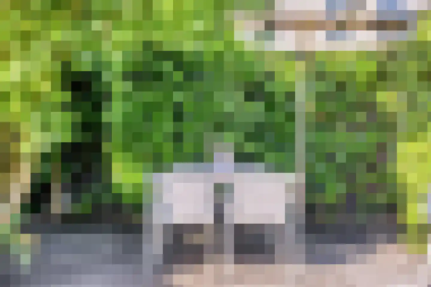 Grootzeil 5 Capelle aan den IJssel thumbnail 31