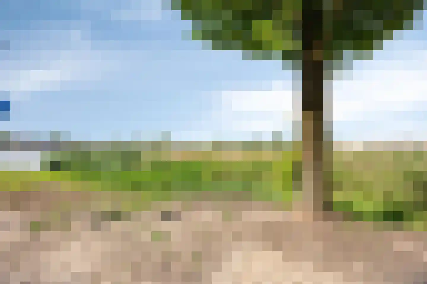 Grootzeil 5 Capelle aan den IJssel thumbnail 35