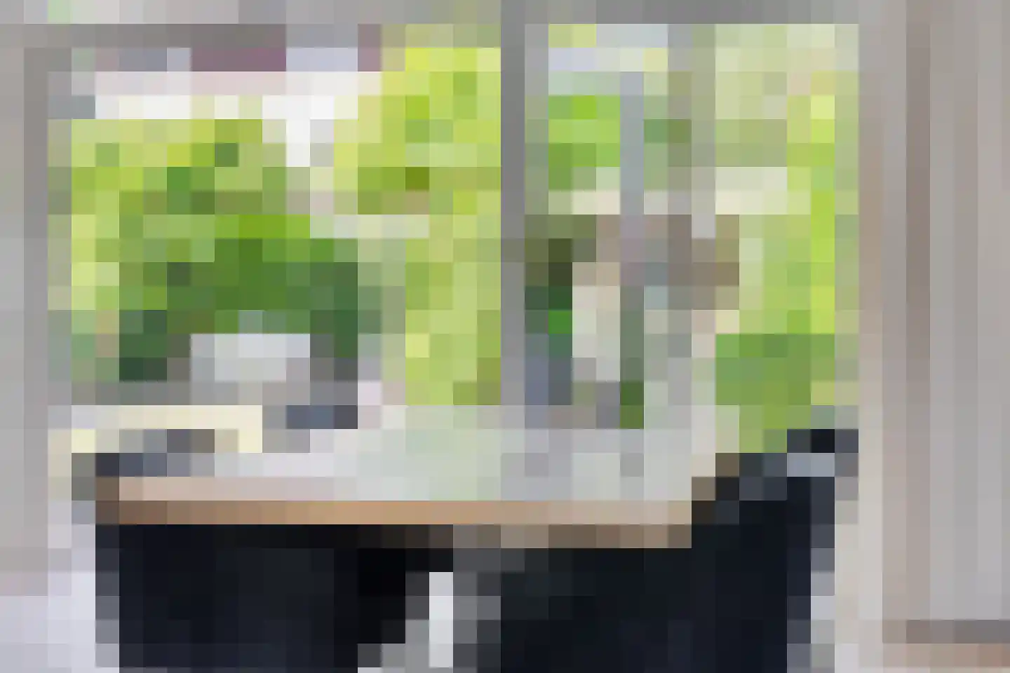 Grootzeil 5 Capelle aan den IJssel thumbnail 6