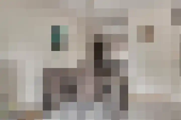 Grootzeil 5 Krimpen aan den IJssel thumbnail 10
