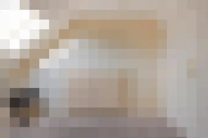Grootzeil 5 Krimpen aan den IJssel thumbnail 24