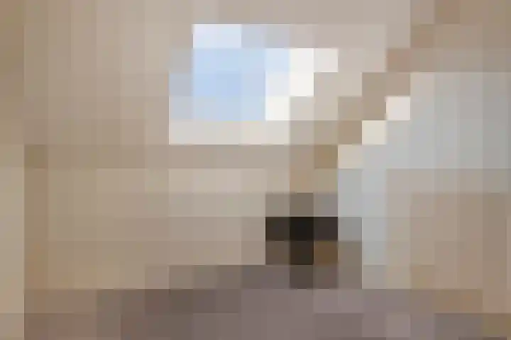 Grootzeil 5 Krimpen aan den IJssel thumbnail 25