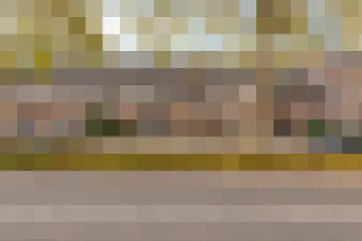 Grootzeil 5 Krimpen aan den IJssel thumbnail 26