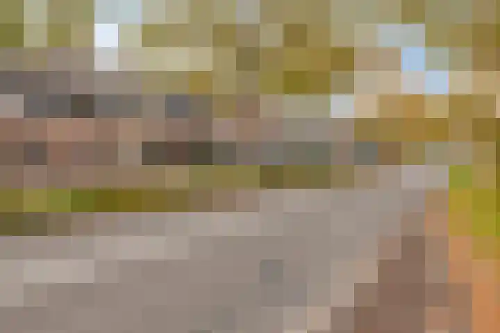 Grootzeil 5 Krimpen aan den IJssel thumbnail 27
