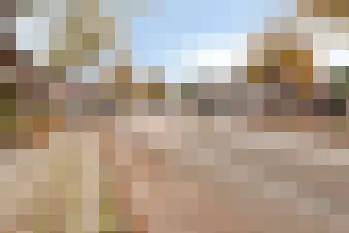 Grootzeil 5 Krimpen aan den IJssel thumbnail 28