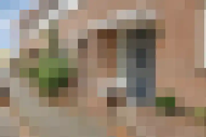 Grootzeil 5 Krimpen aan den IJssel thumbnail 31