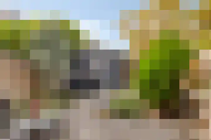 Grootzeil 5 Krimpen aan den IJssel thumbnail 32