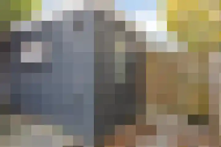 Grootzeil 5 Krimpen aan den IJssel thumbnail 34
