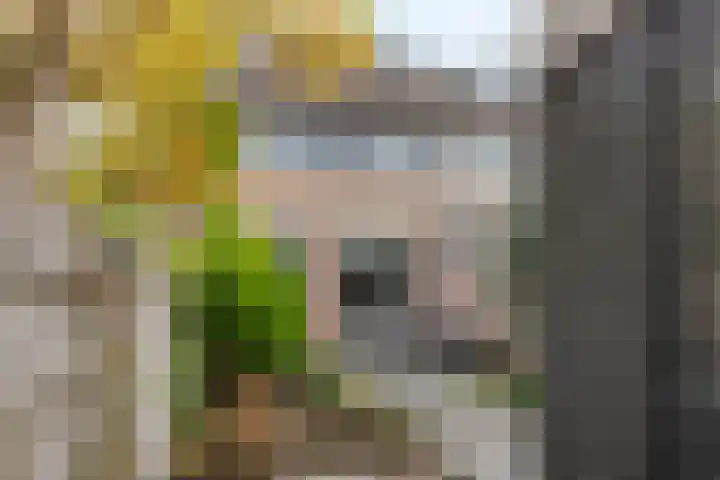 Grootzeil 5 Krimpen aan den IJssel thumbnail 35