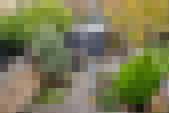 Grootzeil 5 Krimpen aan den IJssel thumbnail 36