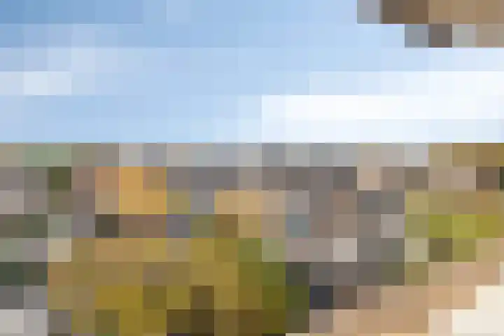 Grootzeil 5 Krimpen aan den IJssel thumbnail 37