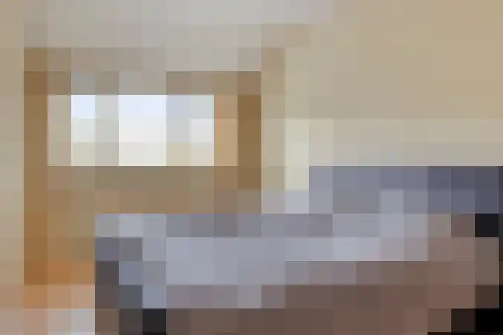 Grootzeil 5 Krimpen aan den IJssel thumbnail 4