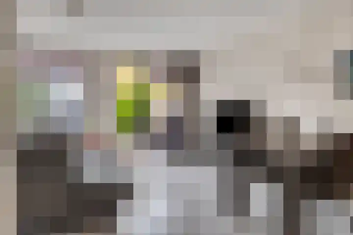 Grootzeil 5 Krimpen aan den IJssel thumbnail 6