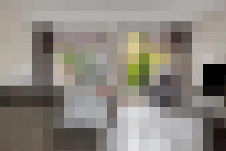 Grootzeil 5 Krimpen aan den IJssel thumbnail 7