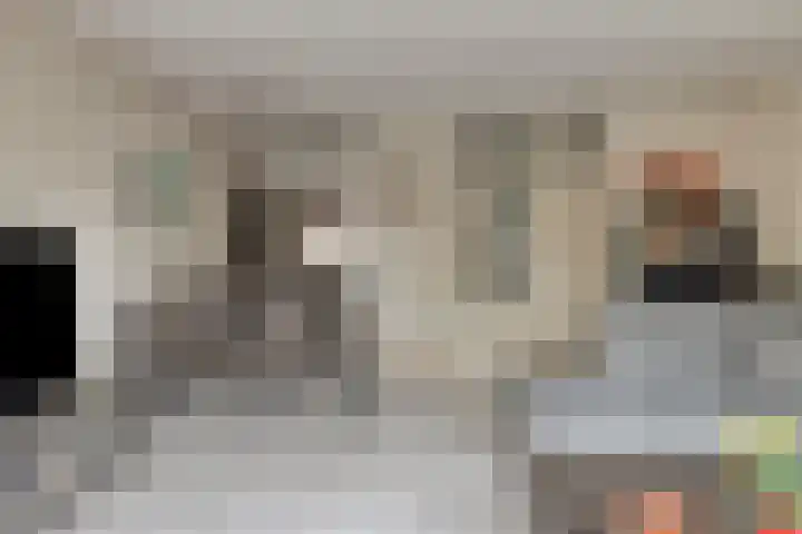 Grootzeil 5 Krimpen aan den IJssel thumbnail 8