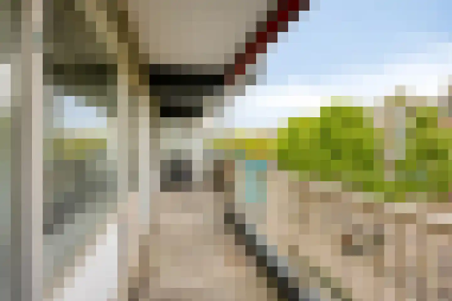 Grootzeilhof 14 Amsterdam thumbnail 5
