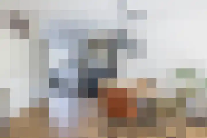 Gropiuslijn 13 Zoetermeer thumbnail 13