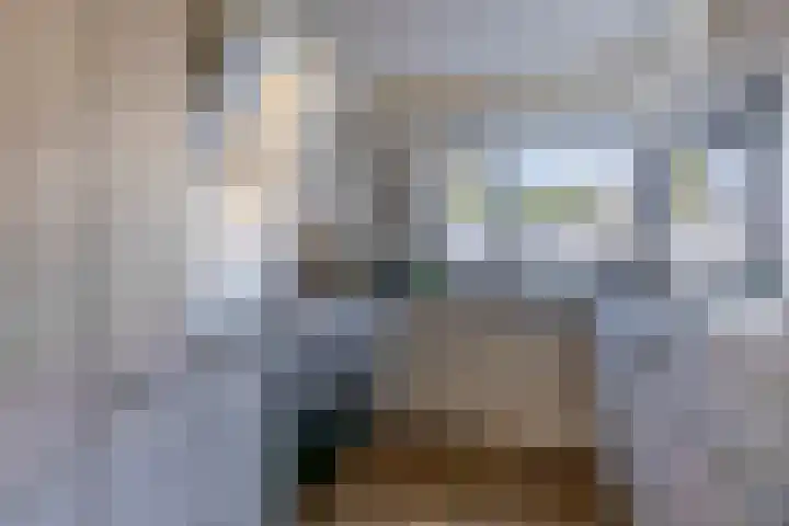 Gropiuslijn 13 Zoetermeer thumbnail 15