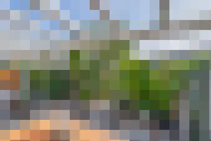 Gropiuslijn 13 Zoetermeer thumbnail 18