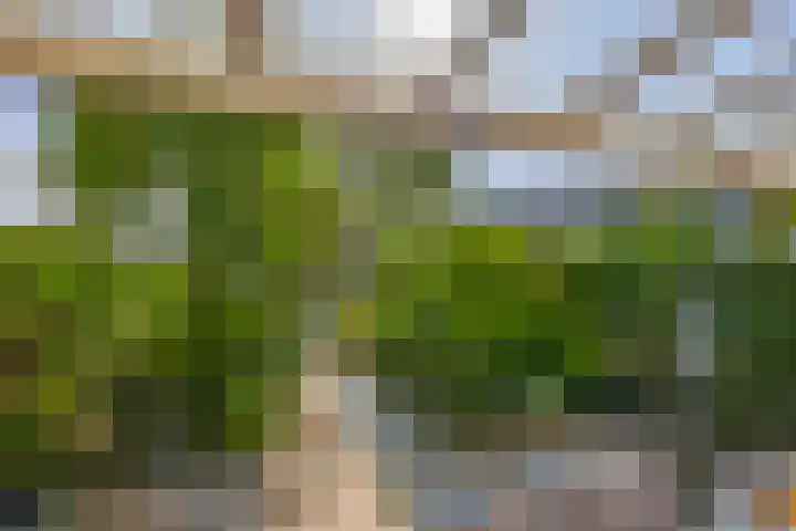 Gropiuslijn 13 Zoetermeer thumbnail 19