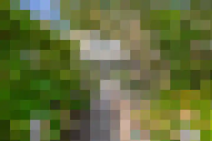 Gropiuslijn 13 Zoetermeer thumbnail 21