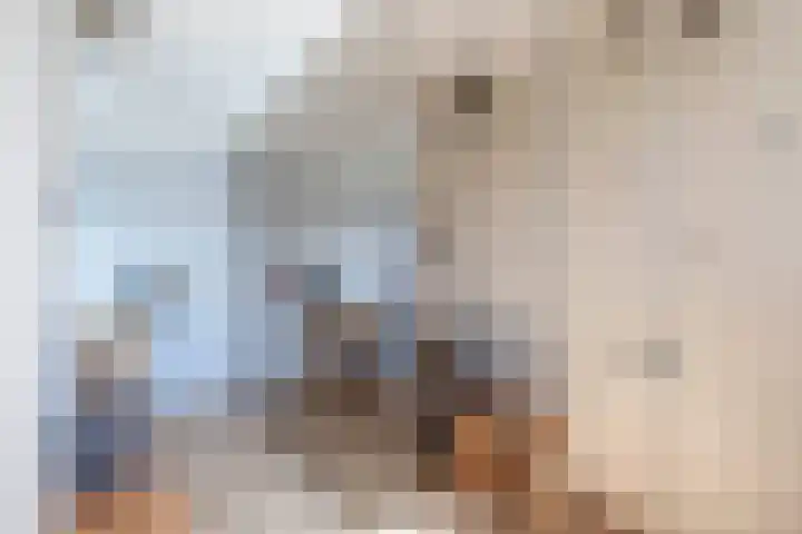 Gropiuslijn 13 Zoetermeer thumbnail 27
