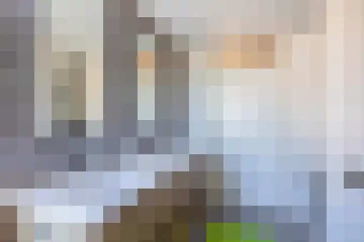 Gropiuslijn 13 Zoetermeer thumbnail 29