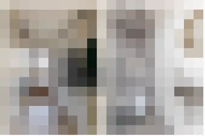 Gropiuslijn 13 Zoetermeer thumbnail 5