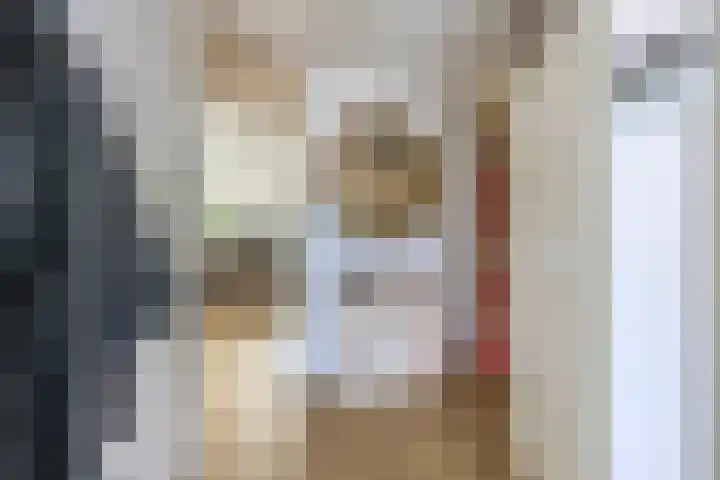 Gropiuslijn 13 Zoetermeer thumbnail 6